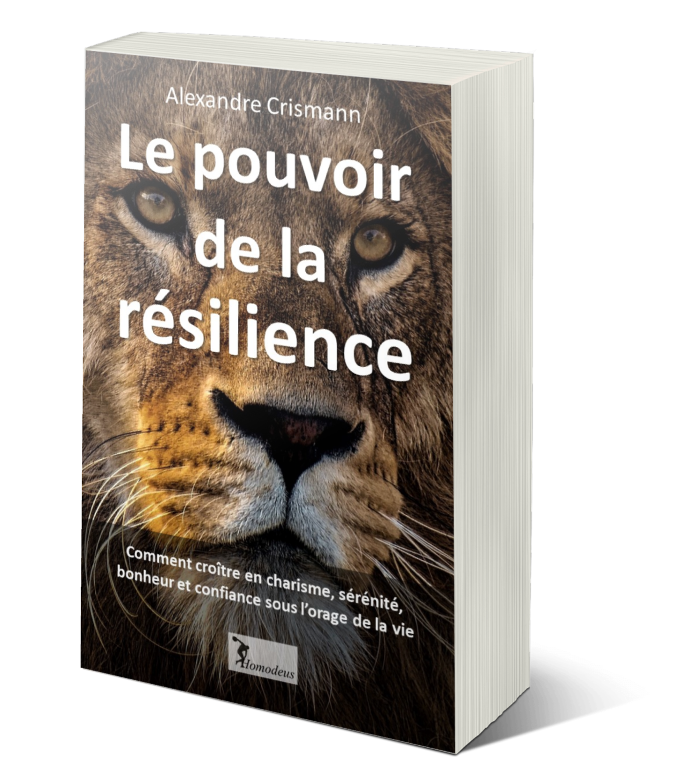 Résilience Le Meilleur Livre Jamais écrit Best Seller De Sa Catégorie