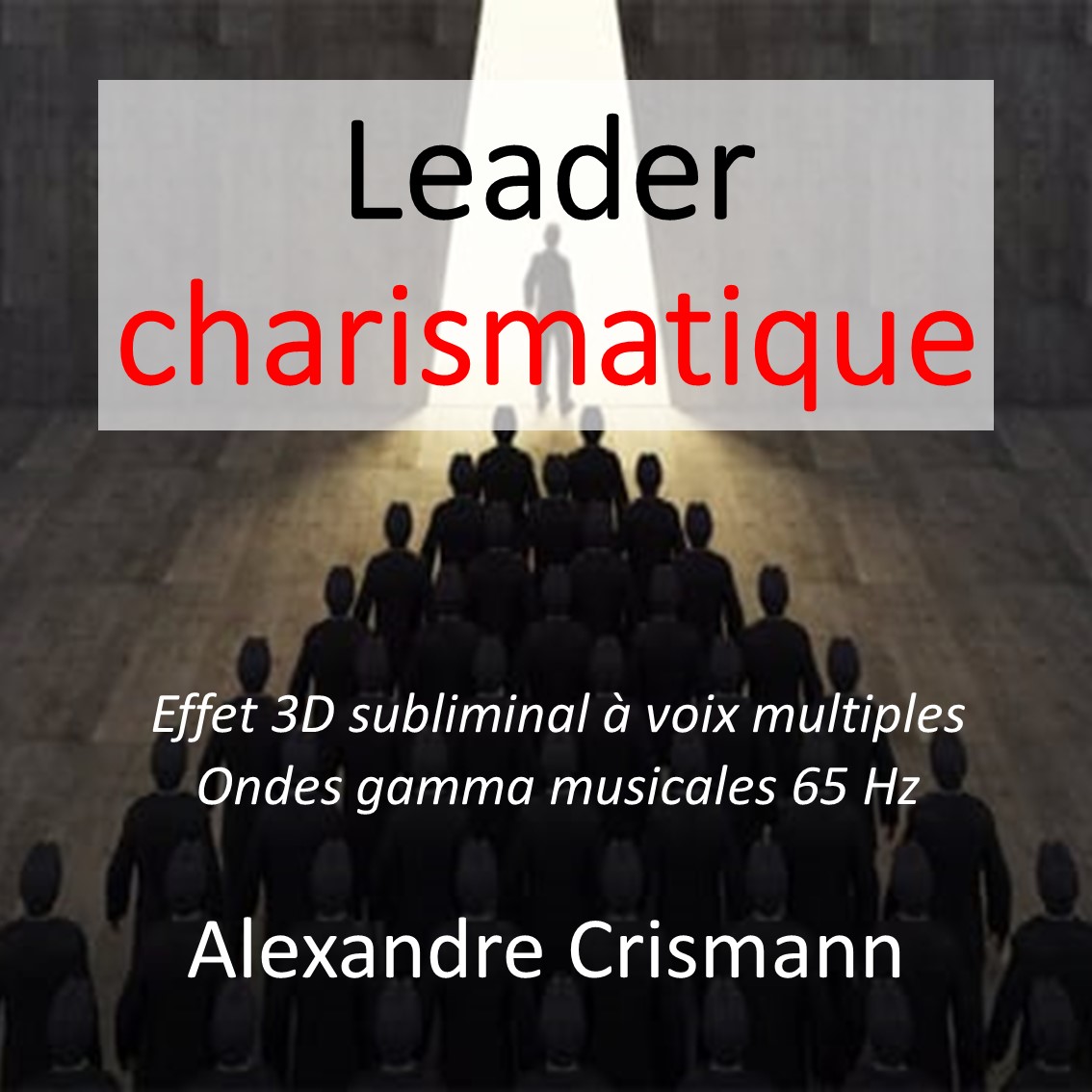 Leadership charismatique : solution pour libérer votre potentiel